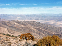 View from Wildrose Peak