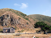 Tree and cabin, Lost Coast