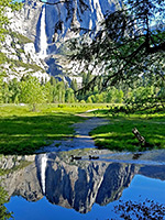 Reflections on a pond