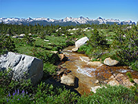 Peaks of the Cathedral Range