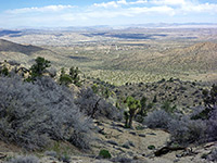 Yucca Valley