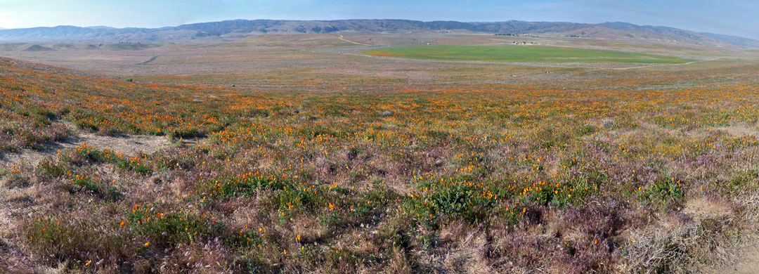 Panorama to the south