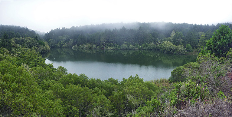 Bass Lake