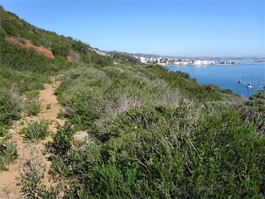 End of the Bayside Trail