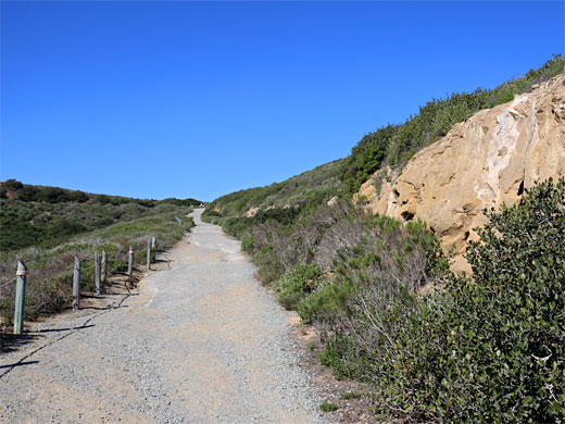 Straight path - start of the Bayside Trail