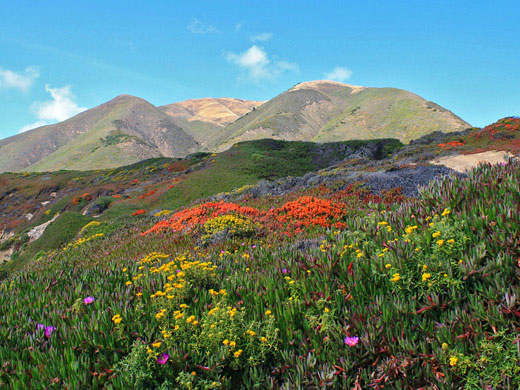 Big Sur