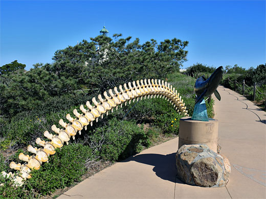 Whale spine (a replica) and whale sculpture