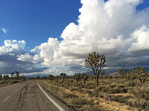 Mojave National Preserve