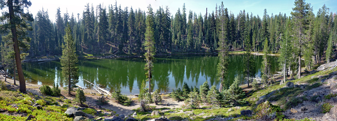 Green-water pond