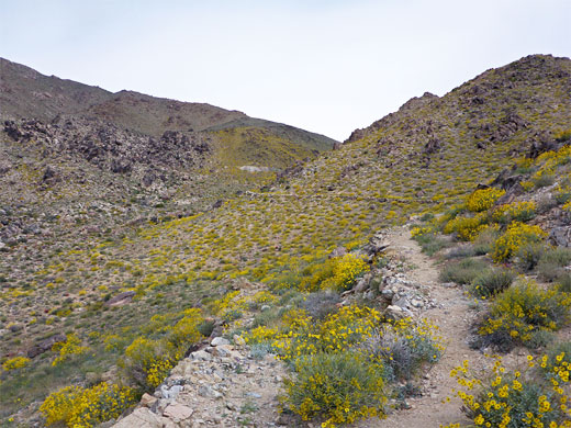 Track to the mine