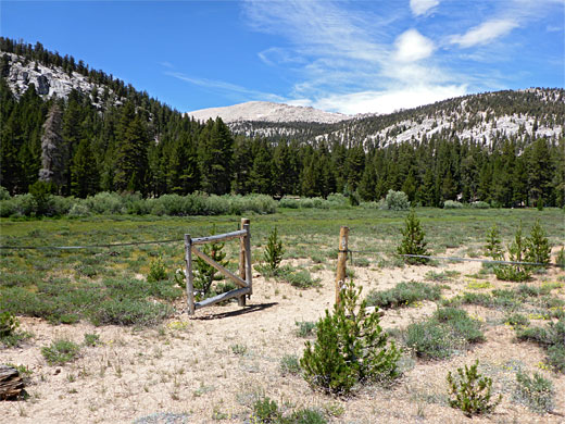 Fence near the camp