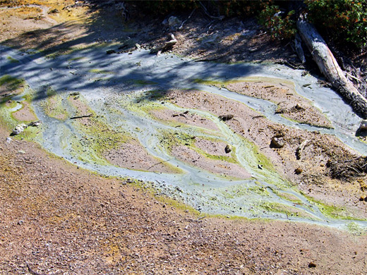 Run-off stream with grayish water and yellow algae, Devils Kitchen