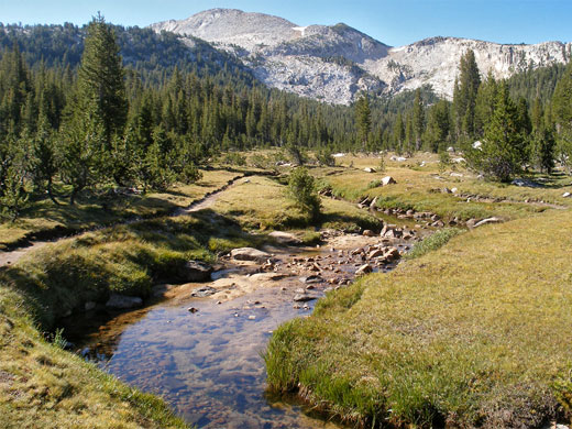 Stream and meadow near Elizabeth Lake