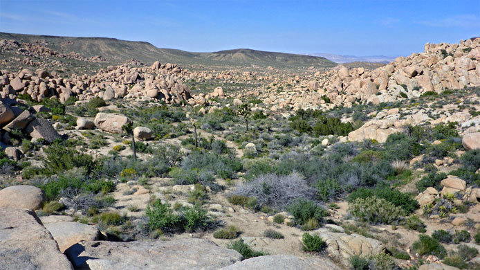 Rocky basin