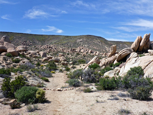 Flat Top Butte Trail