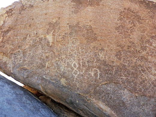 Petroglyph panel