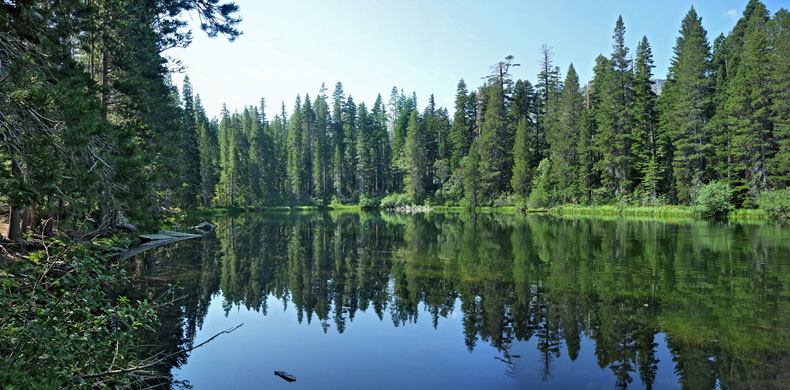 Trees lining Floating Island Lake