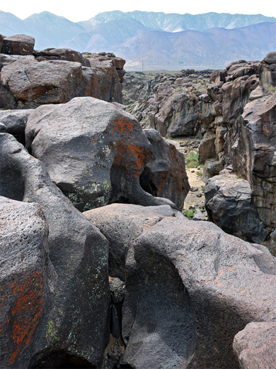 Orange lichen at Fossil Falls