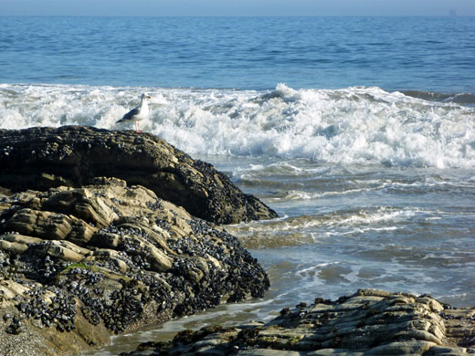 Gaviota State Park, Southern California