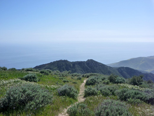 Gaviota Peak Trail approaching the summit