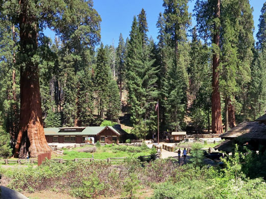 Sequoia National Park