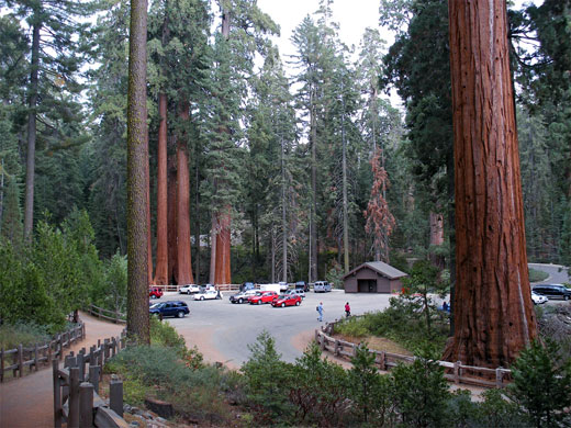 Kings Canyon National Park