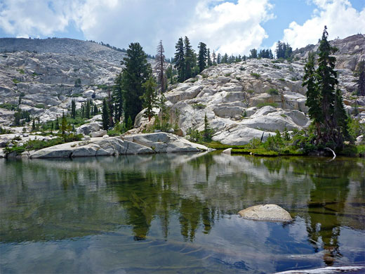 Calm water, at the edge of upper Grant Lake