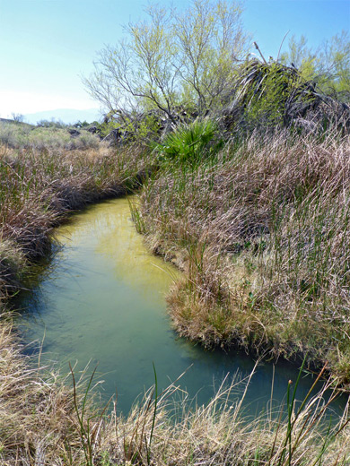 Hot spring and stream