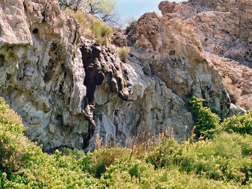 Waterfall and travertine, Grapevine Springs