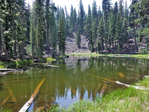 Shallow, green pond