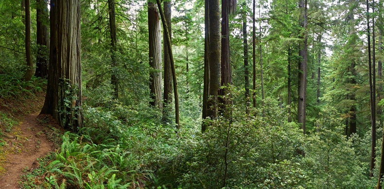 Panorama along the trail