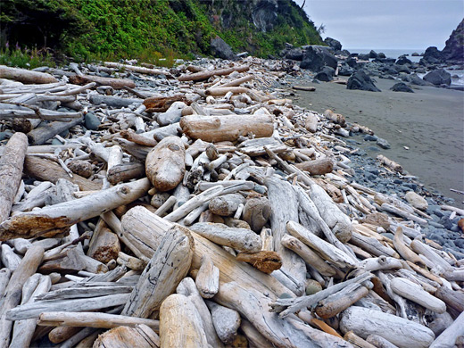 Driftwood on Hidden Beach