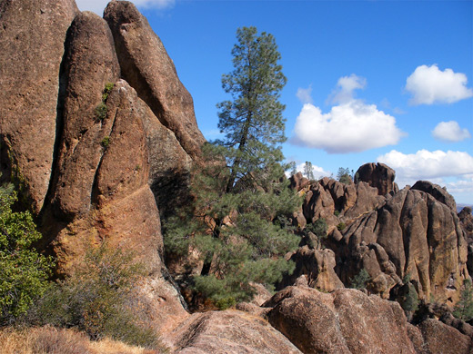 Volcanic boulders