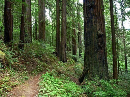 Hikers Trail