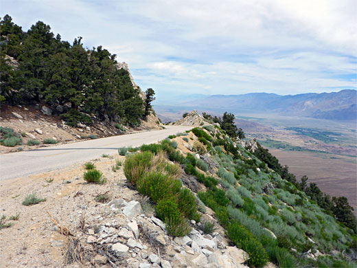 Bushes and pines along the higher reaches of Horseshoe Meadows Road