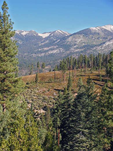 Hotel Creek Trail