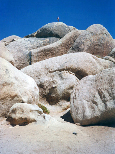 Rock climbing at Joshua Tree NP