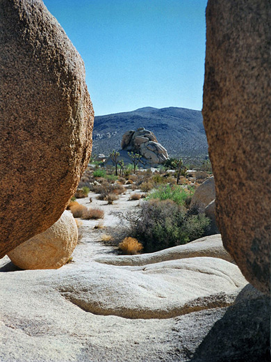 Alcove view