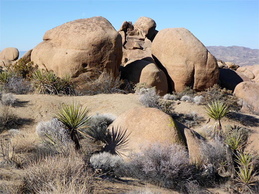 Shallow canyon near the oasis