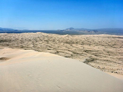 Top of the Kelso Dunes; view west