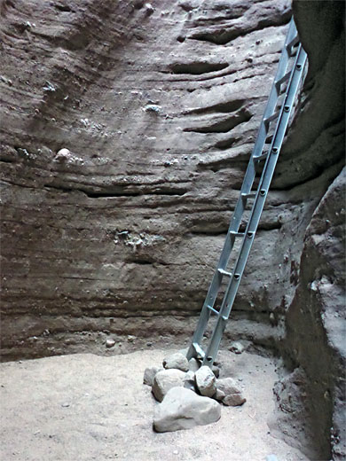 Metal ladder