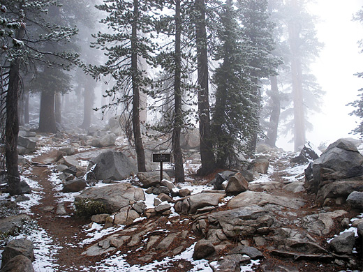 Trail junction, near Heather Lake