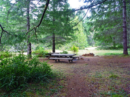 Little Bald Hills campground