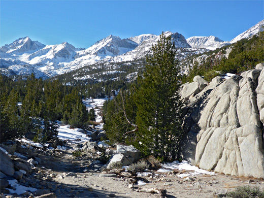 Trees and granite