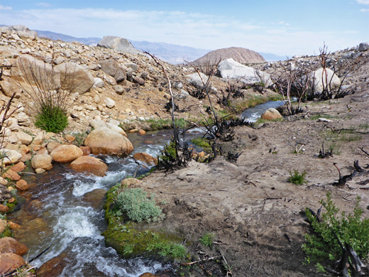 Lone Pine Creek - downstream