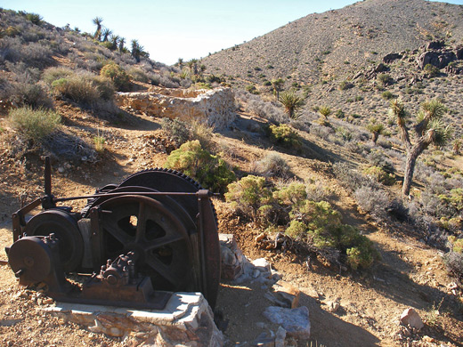 Joshua Tree National Park