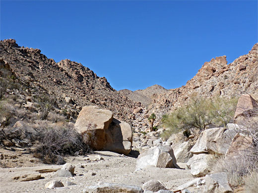 Lost Palms Canyon