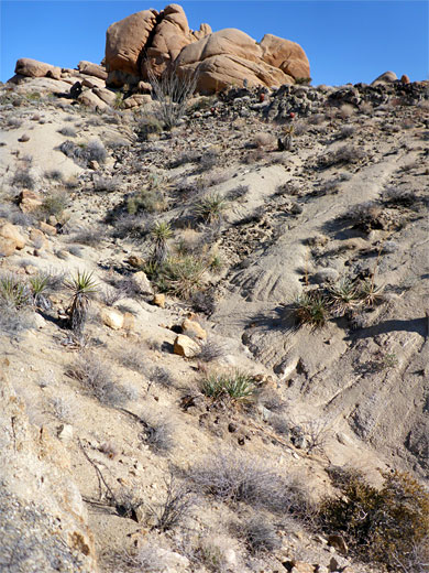Rocky slope