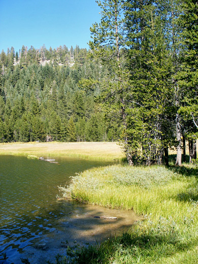 Edge of Lukens Lake