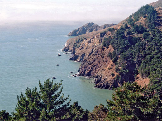 Marin Headlands